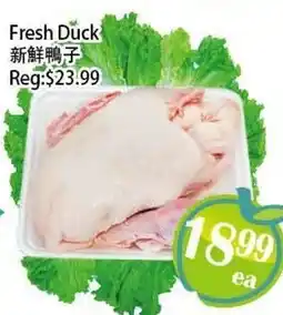 Food Depot Supermarket Fresh Duck offer