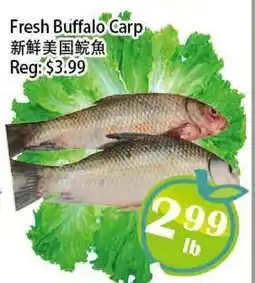 Food Depot Supermarket Fresh Buffalo Carp offer