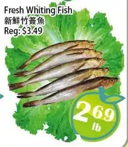 Food Depot Supermarket Fresh Whiting Fish offer