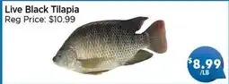 Blue Sky Supermarket Live Black Tilapia offer