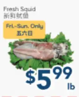 Oceans Fresh Food Market Fresh Squid offer