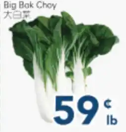 Oceans Fresh Food Market Big Bak Choy offer