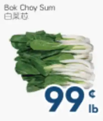 Oceans Fresh Food Market Bok Choy Sum offer