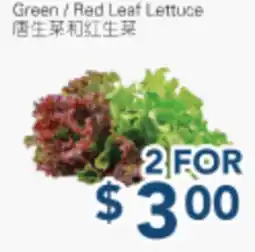 Oceans Fresh Food Market Green / Red Leaf Lettuce offer