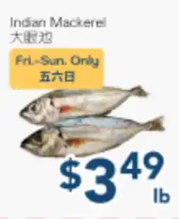 Oceans Fresh Food Market Indian Mackerel offer