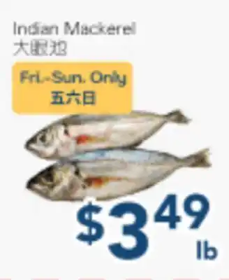 Oceans Fresh Food Market Indian Mackerel offer