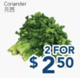 Oceans Fresh Food Market Coriander offer