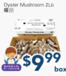 Oceans Fresh Food Market Oyster Mushroom 2Lb offer