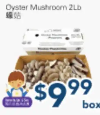 Oceans Fresh Food Market Oyster Mushroom 2Lb offer