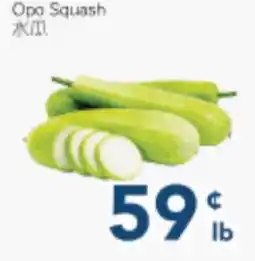 Oceans Fresh Food Market Opo Squash offer