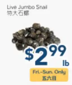 Oceans Fresh Food Market Live Jumbo Snail offer