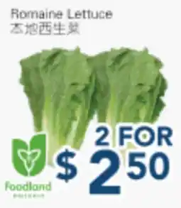 Oceans Fresh Food Market Romaine Lettuce offer