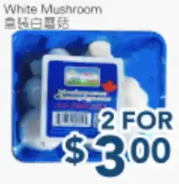 Oceans Fresh Food Market White Mushroom offer