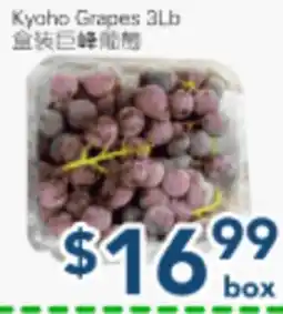 Oceans Fresh Food Market Kyaho Grapes offer