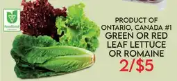 Fiesta Farms PRODUCT OF ONTARIO, CANADA #1 GREEN OR RED LEAF LETTUCE OR ROMAINE offer
