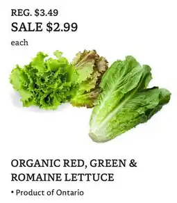 The Big Carrot ORGANIC RED, GREEN & ROMAINE LETTUCE offer