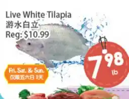 Fresh Palace Supermarket Live White Tilapia offer
