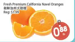 Fresh Palace Supermarket Fresh Premium California Navel Oranges offer