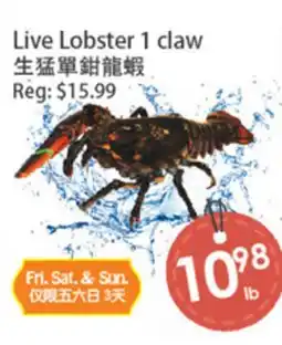 Fresh Palace Supermarket Live Lobster 1 claw offer