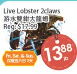 Fresh Palace Supermarket Live Lobster 2claws offer