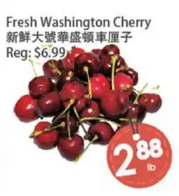 Fresh Palace Supermarket Fresh Washington Cherry offer