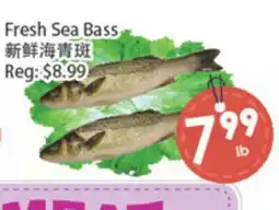 Fresh Palace Supermarket Fresh Sea Bass offer