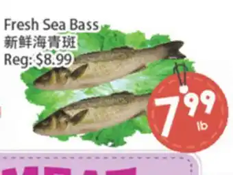 Fresh Palace Supermarket Fresh Sea Bass offer