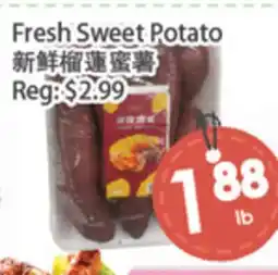 Fresh Palace Supermarket Fresh Sweet Potato offer