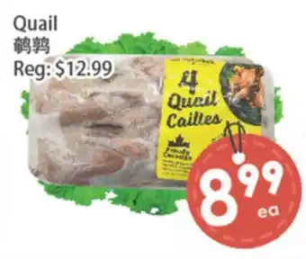 Fresh Palace Supermarket Quail offer
