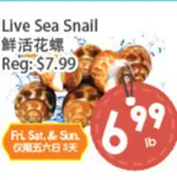 Fresh Palace Supermarket Live Sea Snail offer