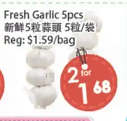 Fresh Palace Supermarket Fresh Garlic 5pcs offer