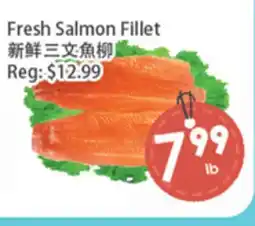 Fresh Palace Supermarket Fresh Salmon Fillet offer
