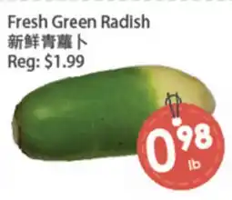 Fresh Palace Supermarket Fresh Green Radish offer