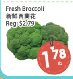Fresh Palace Supermarket Fresh Broccoli offer