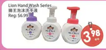 Fresh Palace Supermarket Lion Hand Wash Series offer