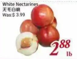 Tone Tai Supermarket White Nectarines offer
