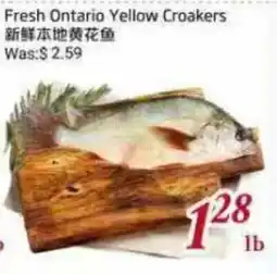 Tone Tai Supermarket Fresh Ontario Yellow Croakers offer