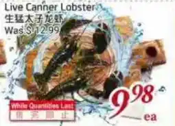 Tone Tai Supermarket Live Canner Lobster offer