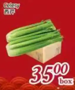 Tone Tai Supermarket Celery offer