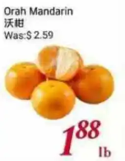 Tone Tai Supermarket Orah Mandarin offer