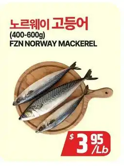 PAT Mart FZN NORWAY MACKEREL offer