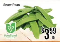 Nations Fresh Foods Snow Peas offer