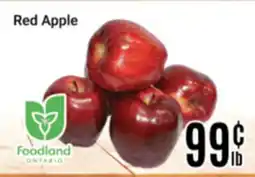 Nations Fresh Foods Red Apple offer
