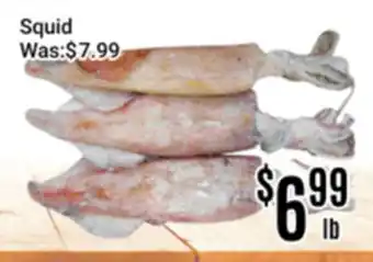 Nations Fresh Foods Squid offer