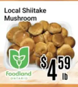 Nations Fresh Foods Local Shiitake Mushroom offer
