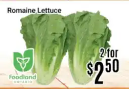 Nations Fresh Foods Romaine Lettuce offer