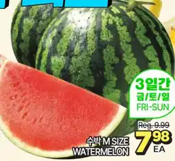 H-Mart WATERMELON offer