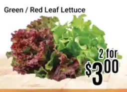 Nations Fresh Foods Green / Red Leaf Lettuce offer