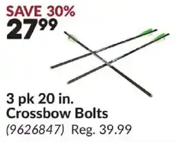 Princess Auto Crossbow Bolts offer