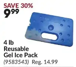 Princess Auto Reusable Gel Ice Pack offer